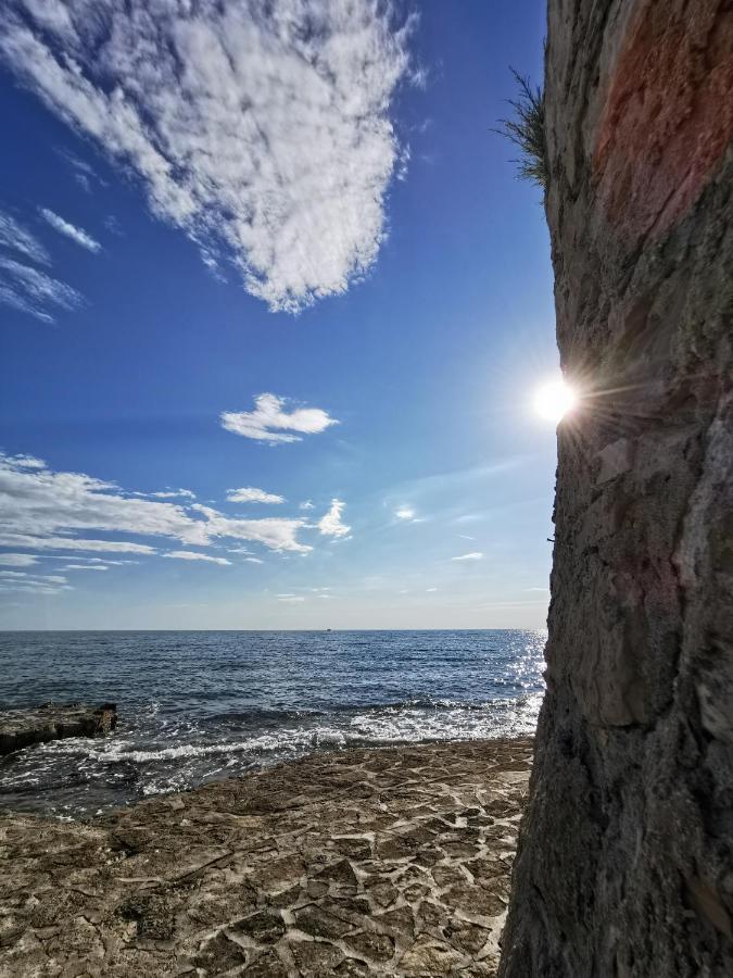 Lora Deluxe Superior 5 Star Apartment, Your Piece Of Heaven By The Sea & Park With Sea & Park View Novigrad Istria Exteriér fotografie