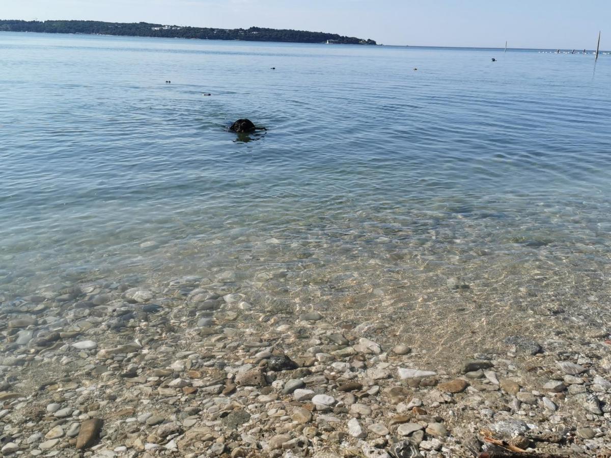 Lora Deluxe Superior 5 Star Apartment, Your Piece Of Heaven By The Sea & Park With Sea & Park View Novigrad Istria Exteriér fotografie