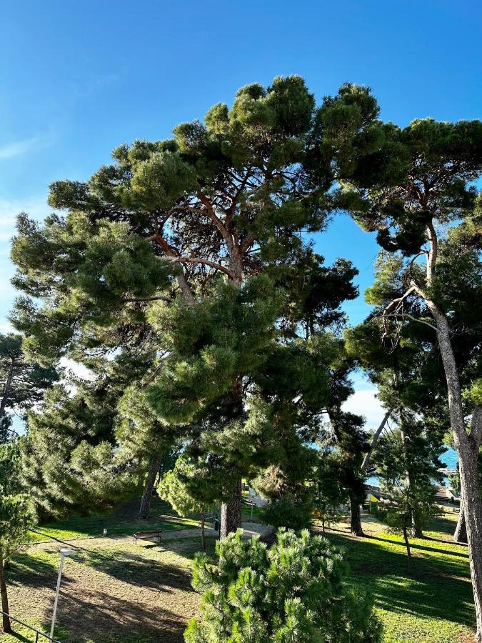 Lora Deluxe Superior 5 Star Apartment, Your Piece Of Heaven By The Sea & Park With Sea & Park View Novigrad Istria Exteriér fotografie